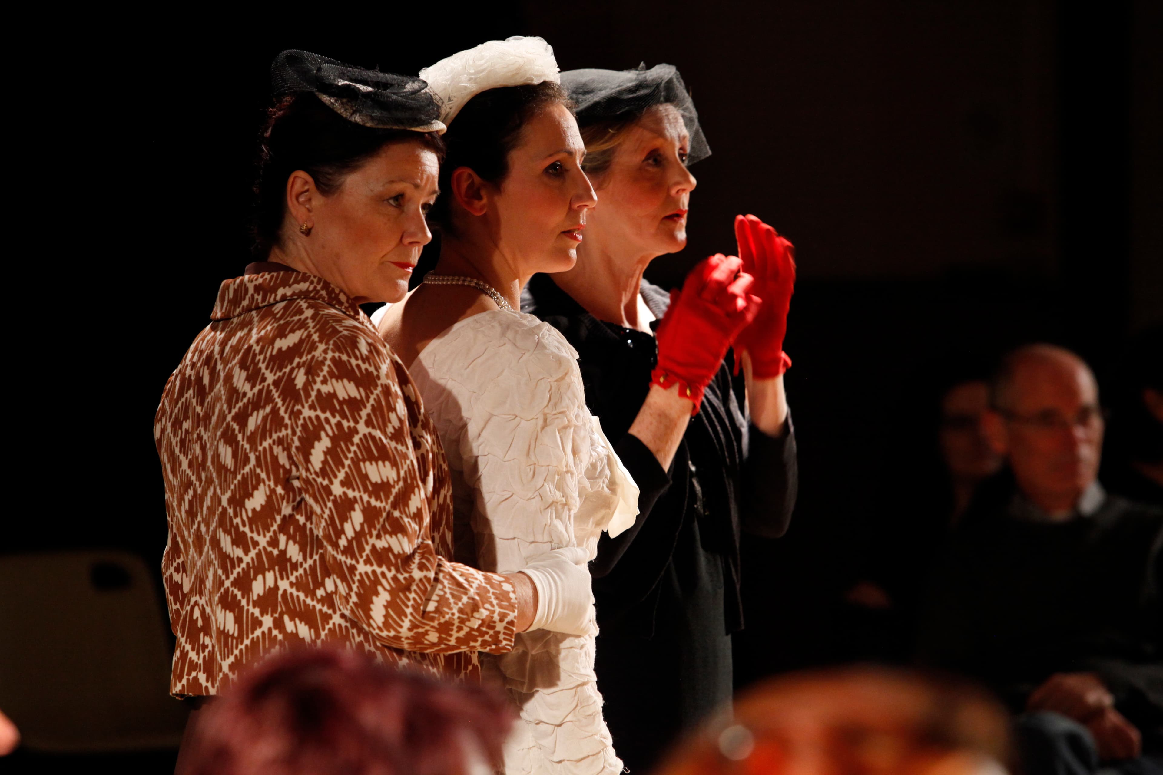 /spectacles/les tortues viennent toutes seules 0